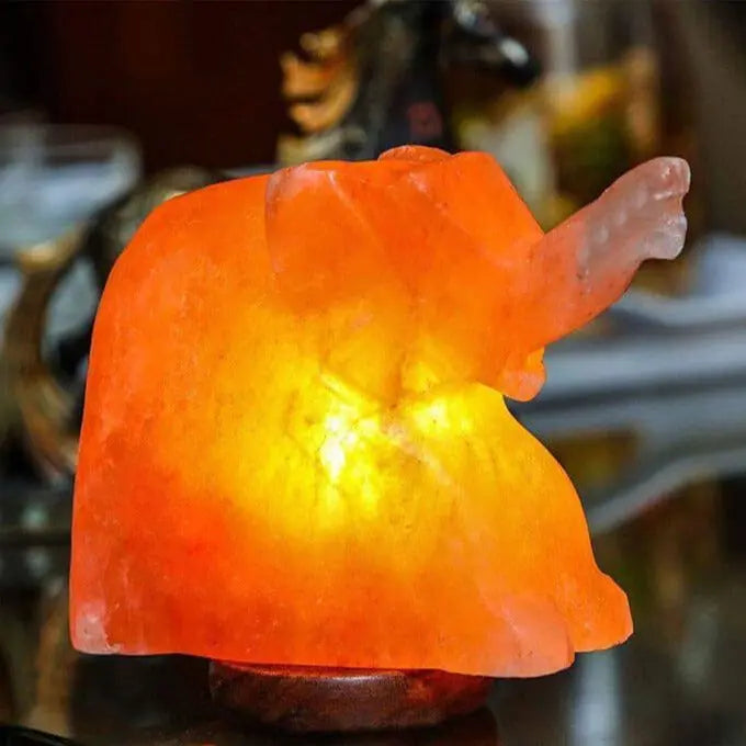 100% Natural Himalayan Salt Lamp Elephant 8lbs