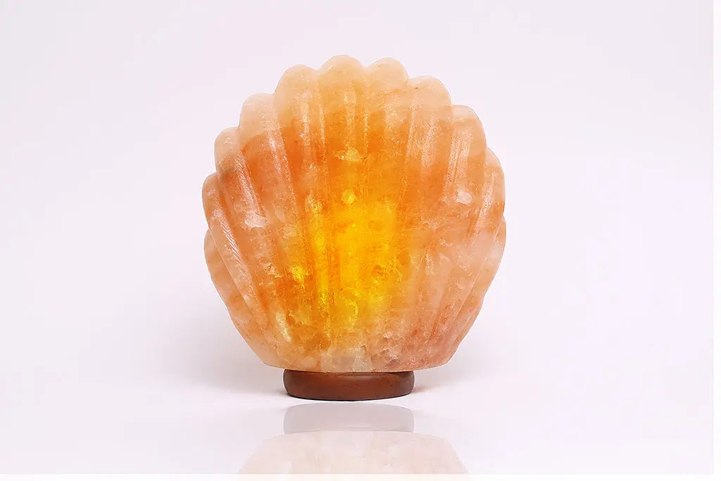 Sea Shell Himalayan Salt Lamp