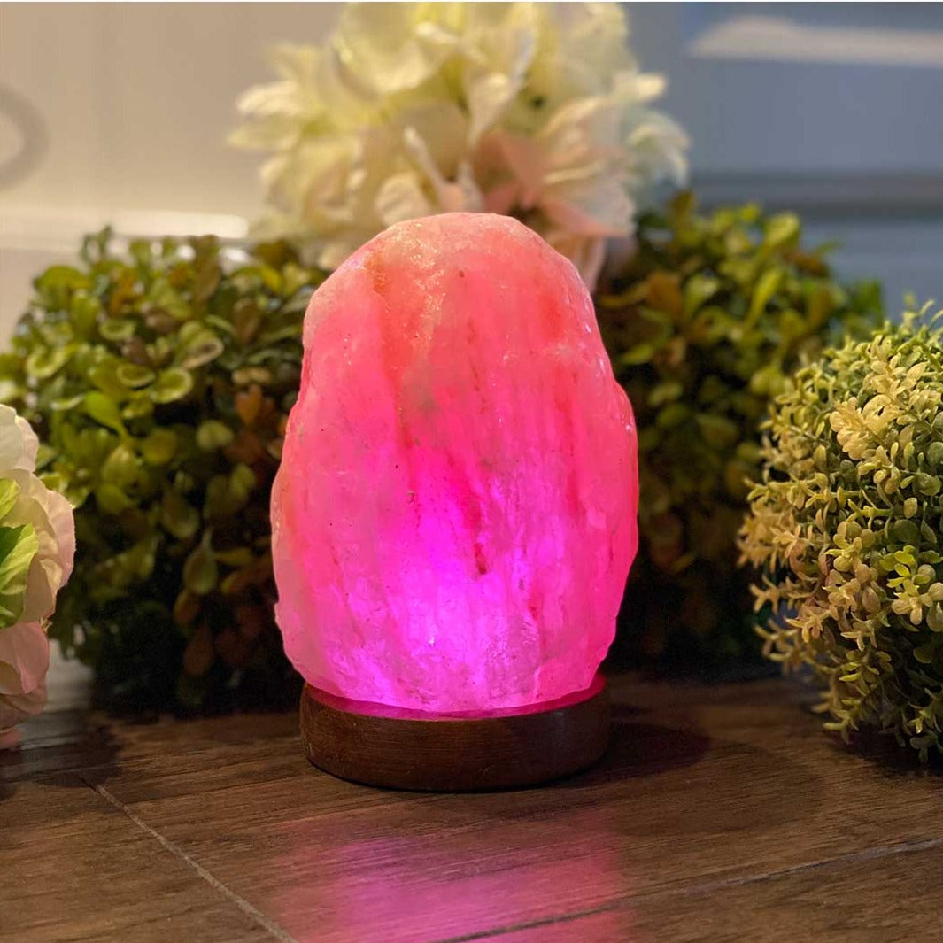 Himalayan Salt USB Lamp