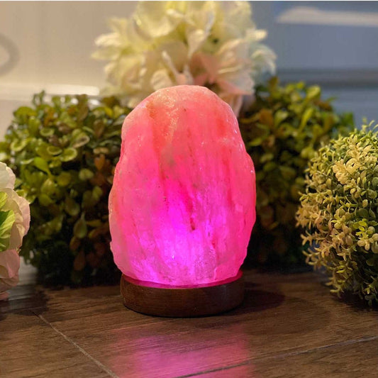 Himalayan Salt USB Lamp