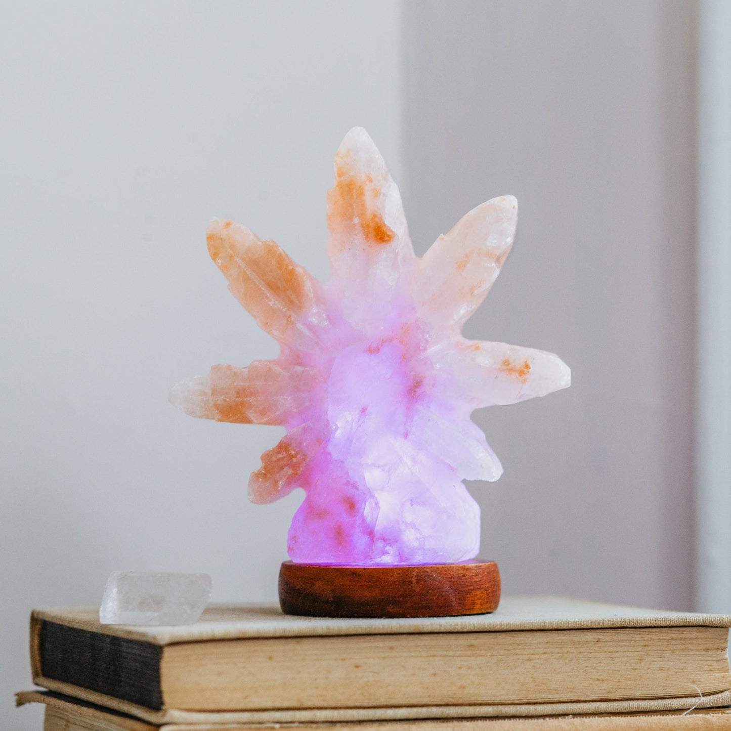 Himalayan Salt Hemp Leaf Mini USB Lamp