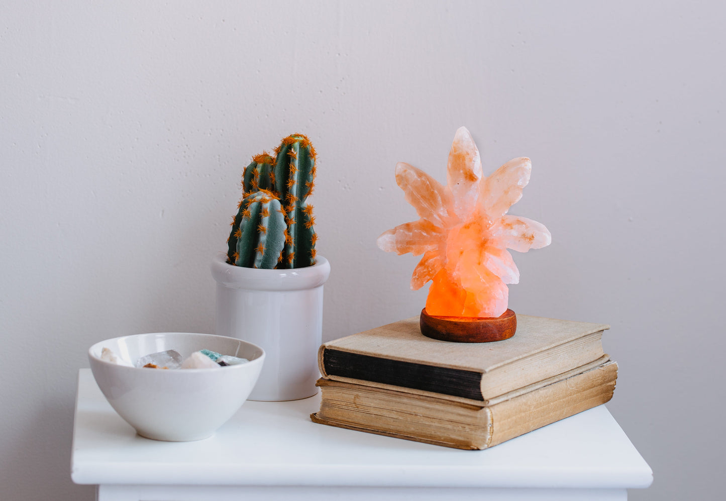 Himalayan Salt Hemp Leaf Mini USB Lamp