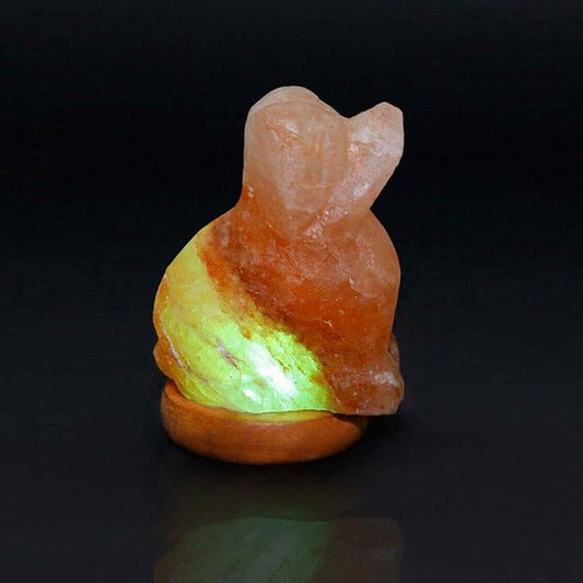 Himalayan Salt Mini Dog Salt Lamp