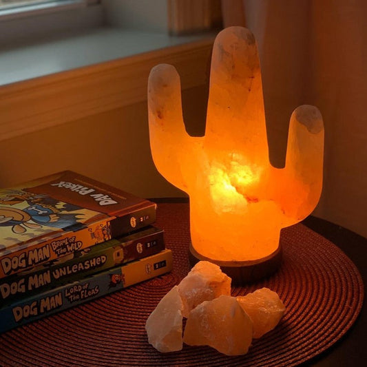 100% Natural Himalayan Salt Lamp Saguaro Cactus 8lbs