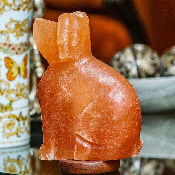 100% Natural Himalayan Salt Lamp Dog 8lbs