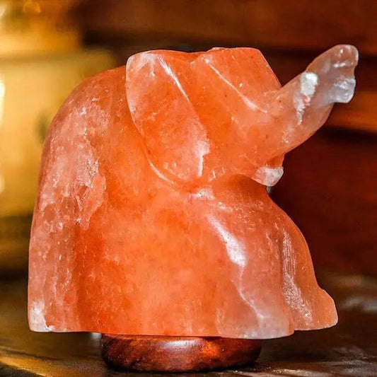 100% Natural Himalayan Salt Lamp Elephant 8lbs